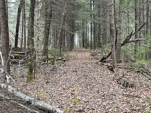 Vacant Land in Kenora Remote Area