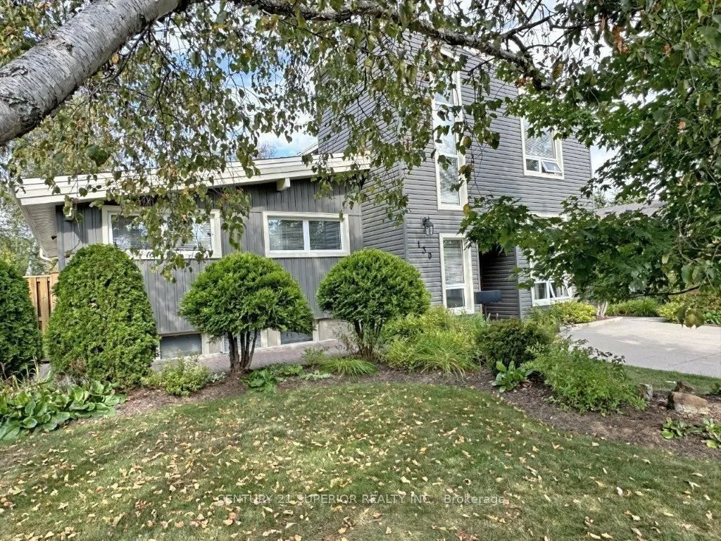 Detached in Thunder Bay