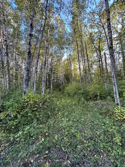 Vacant Land in La Vallee