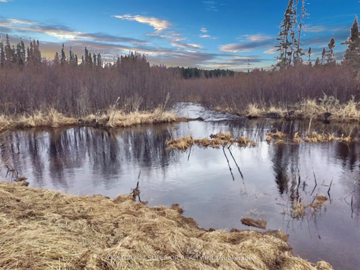 Vacant Land in Thunder Bay Remote Area