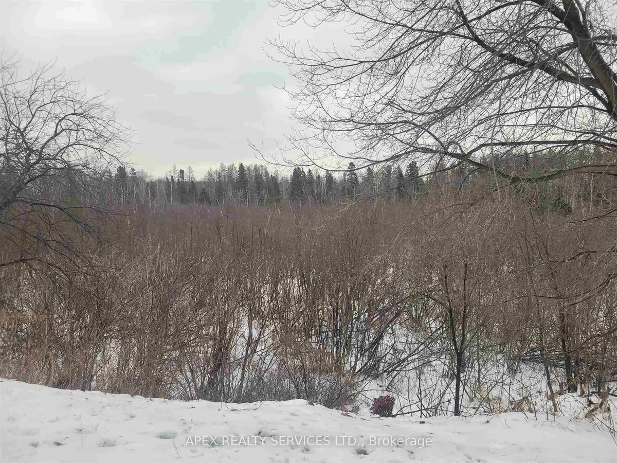 Detached in Thunder Bay