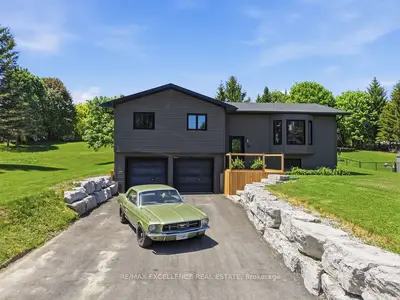 Detached in Amaranth