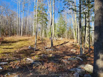 790 Mitchell Road, Madawaska Valley, On K0j 1b0