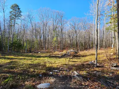 790 Mitchell Road, Madawaska Valley, On K0j 1b0