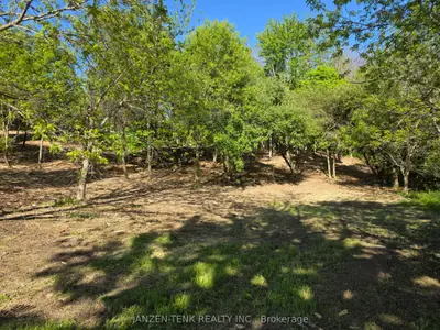 40 North Street, Bayham, On N0j 1z0