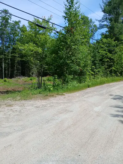 1005 Porkys Road, Minden Hills, On K0m 2k0