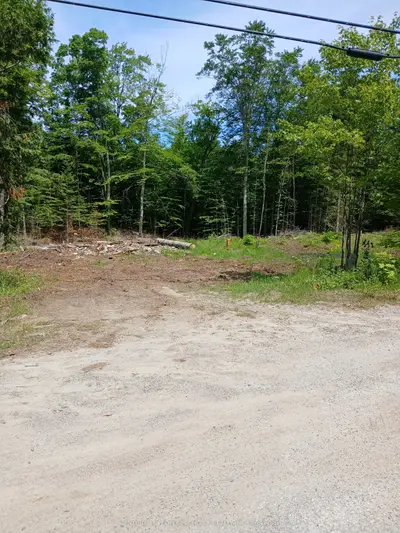 1005 Porkys Road, Minden Hills, On K0m 2k0