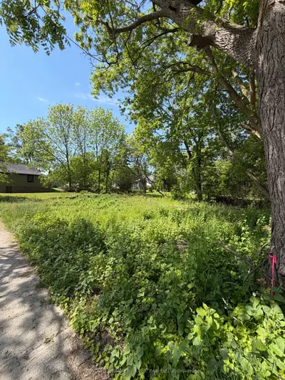 Vacant Land in Port Hope