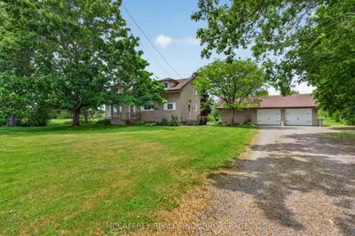 Detached in Loyalist