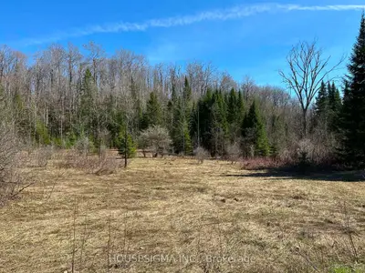 Con 14 Pt Lot 17 Ward: 01 Buller Road, Kawartha Lakes, On K0m 2l0