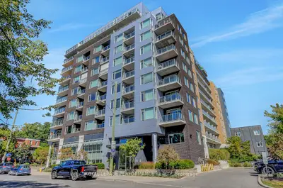 Condo Apartment in Vanier and Kingsview Park