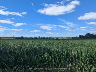 2622 4th Concession Road, Kingston, On K0h 1y0