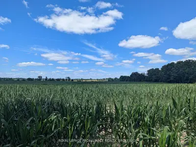 2622 4th Concession Road, Kingston, On K0h 1y0