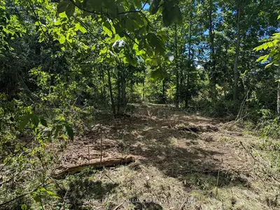 2621 4th Concession Road, Kingston, On K0h 1y0