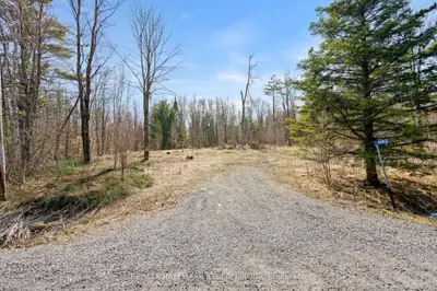 Vacant Land in Orleans - Cumberland and Area
