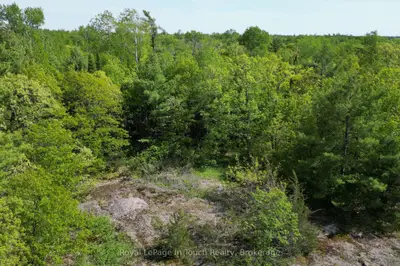 446 South Bay Road, Georgian Bay, On L0k 1s0