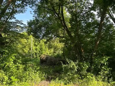 00 Pittston Road, Edwardsburgh/cardinal, On K0e 1x0