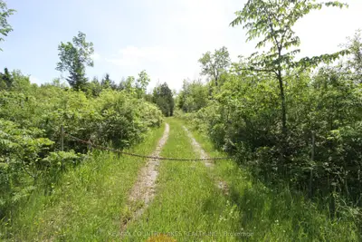 Vacant Land in Kawartha Lakes