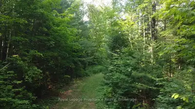 1026 Waterworth Lane, Frontenac, On K0h 2m0
