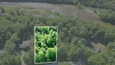 20 Riverside Drive, Trent Hills, On K0l 1l0