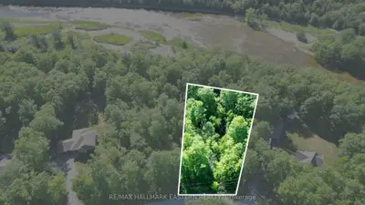 21 Riverside Drive, Trent Hills, On K0l 1l0