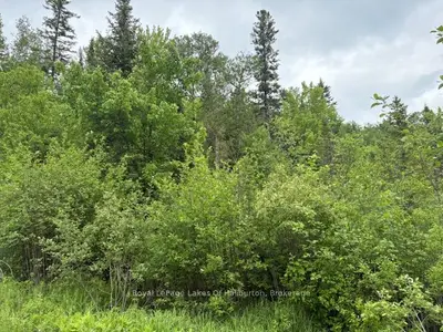 Vacant Land in Dysart et al