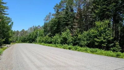 Lot 1 Red Pine Trail, Bracebridge, On P0b 1l0