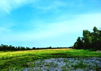 329 County Rd 3 Road, Prince Edward County, On K0j 1a0