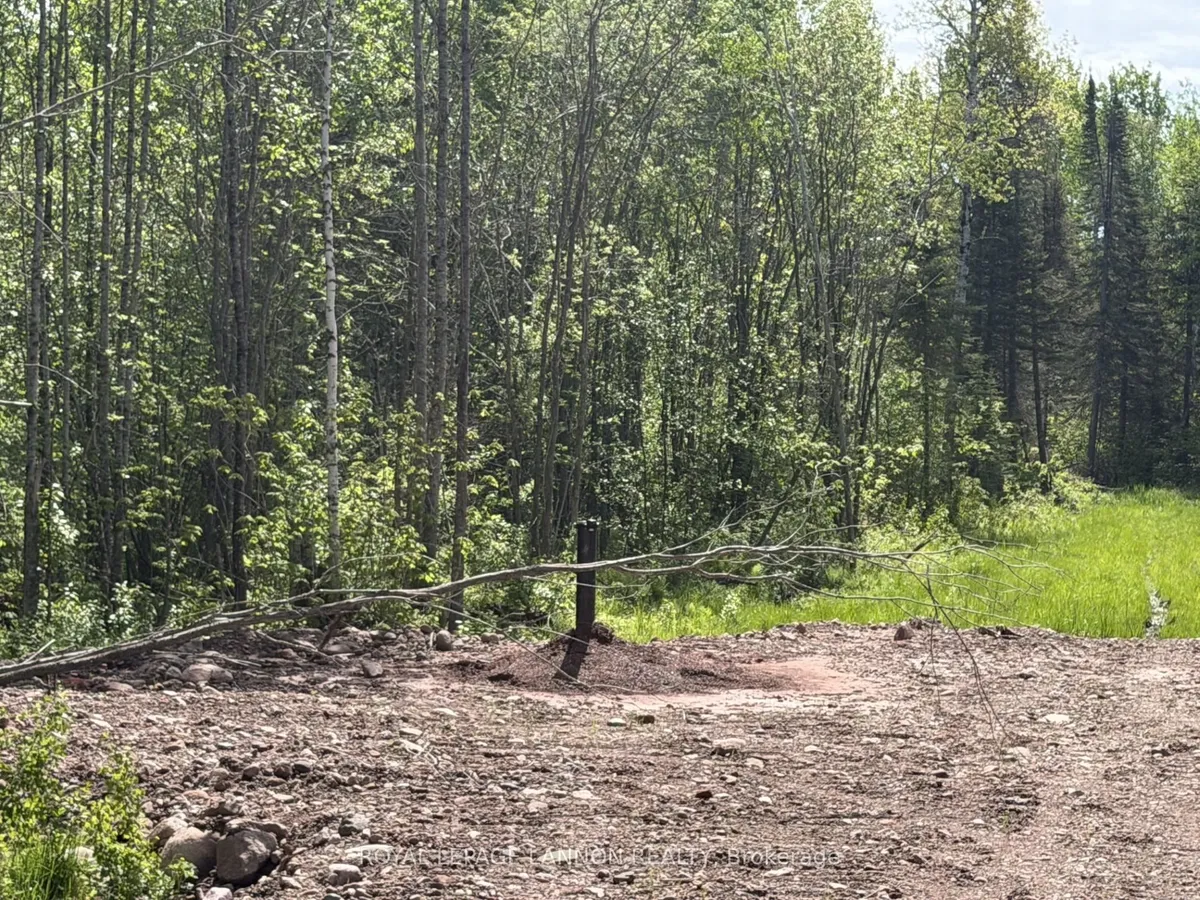 Lot 2 Road 5 South, Shuniah, On P0t 2m0