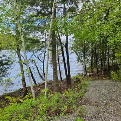 0 Starlight Road, Minden Hills, On K0m 2k0
