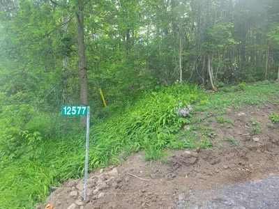 12577 Loyalist Parkway Ne, Prince Edward County, On K0k 2t0