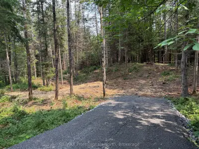 1313 Williamsport Road N, Huntsville, On P1h 2j4