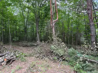 1333 Williamsport Road N, Huntsville, On P1h 2j4