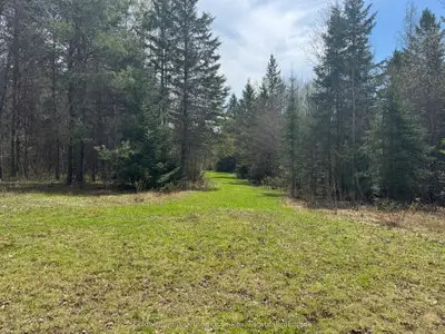 0 Hwy 520 Highway, Ryerson, On P0a 1c0