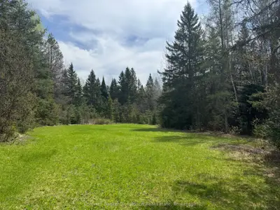 0 Hwy 520 Highway, Ryerson, On P0a 1c0