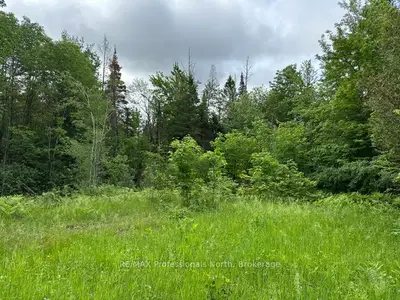 1164 RAVINE Road, Minden Hills, ON K0M 2K0
