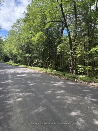 Tbd Wigamog Road, Minden Hills, On K0m 2k0