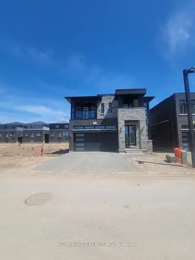 Detached in Niagara Falls