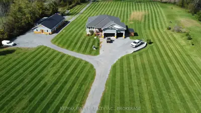 Detached in Loyalist