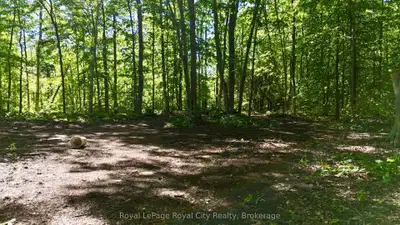 42 Warner Bay Road, Northern Bruce Peninsula, On N0h 2r0