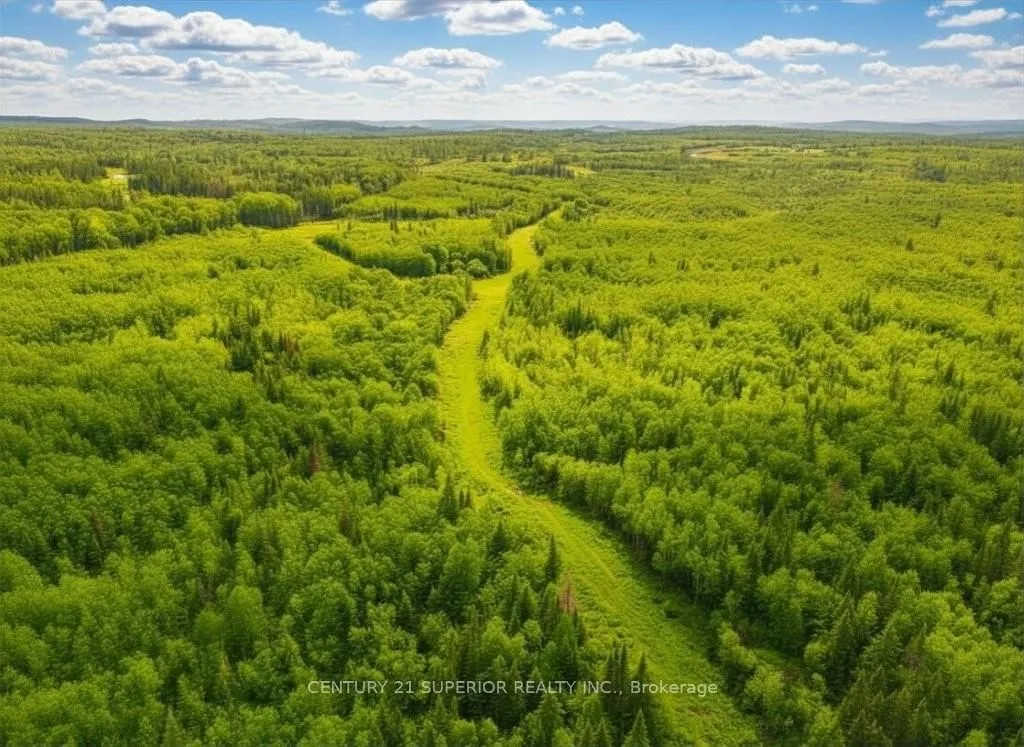 Vacant Land in Thunder Bay Remote Area