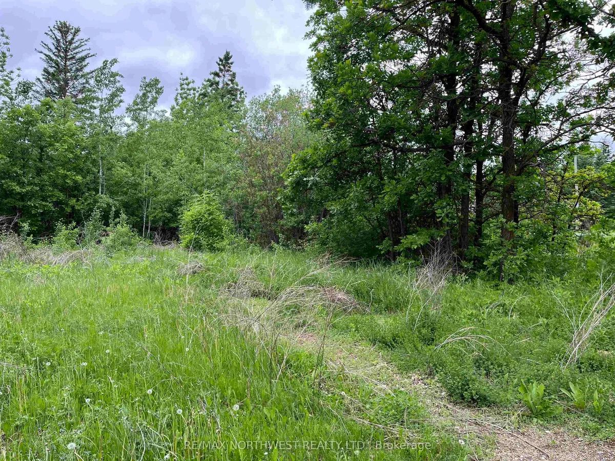 Pin 560490007 Hwy 11, Dawson, On P0w 1k0