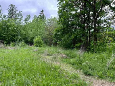 Pin 560490007 Hwy 11, Dawson, On P0w 1k0