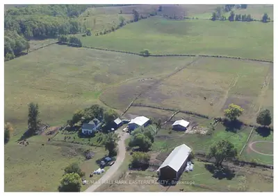 Farm in Kawartha Lakes