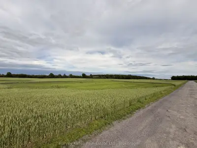 Beside 243 Morgan Road, Prince Edward County, On K0k 1g0