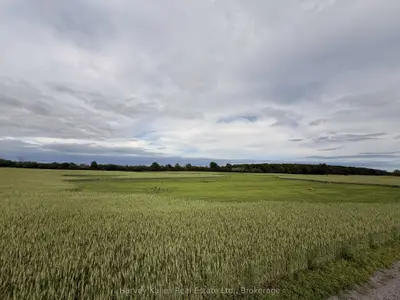 Beside 243 Morgan Road, Prince Edward County, On K0k 1g0