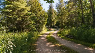 729297 21st Side Road, Blue Mountains, On N0h 1j0