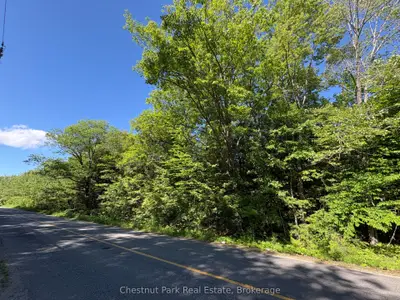 Vacant Land in Bracebridge