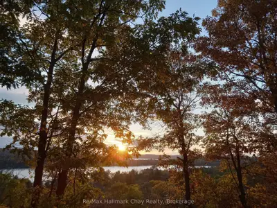 1497 Fox Point Road, Lake Of Bays, On P0a 1h0