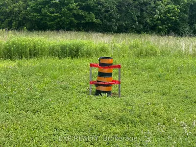 3345 Gore Road, Thames Centre, On N0l 1g4